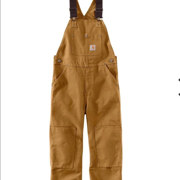 Carhartt Other - Carhartt insulated overalls